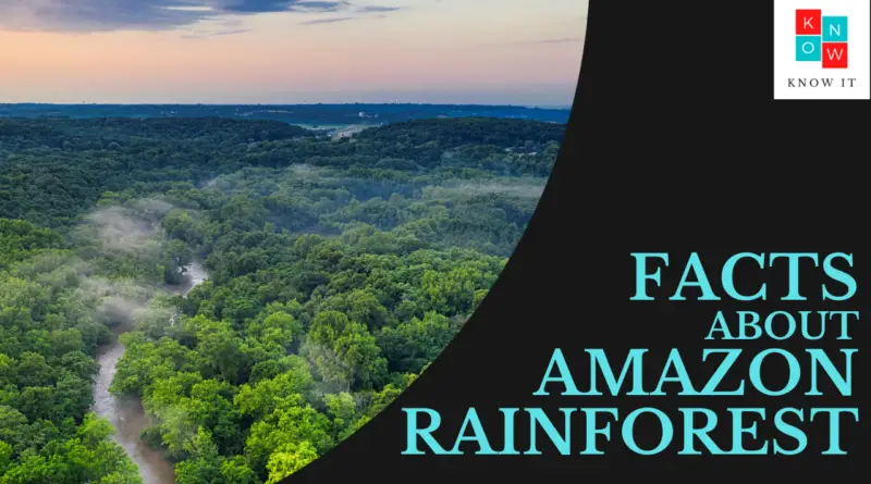 Facts About Amazon Rainforest
