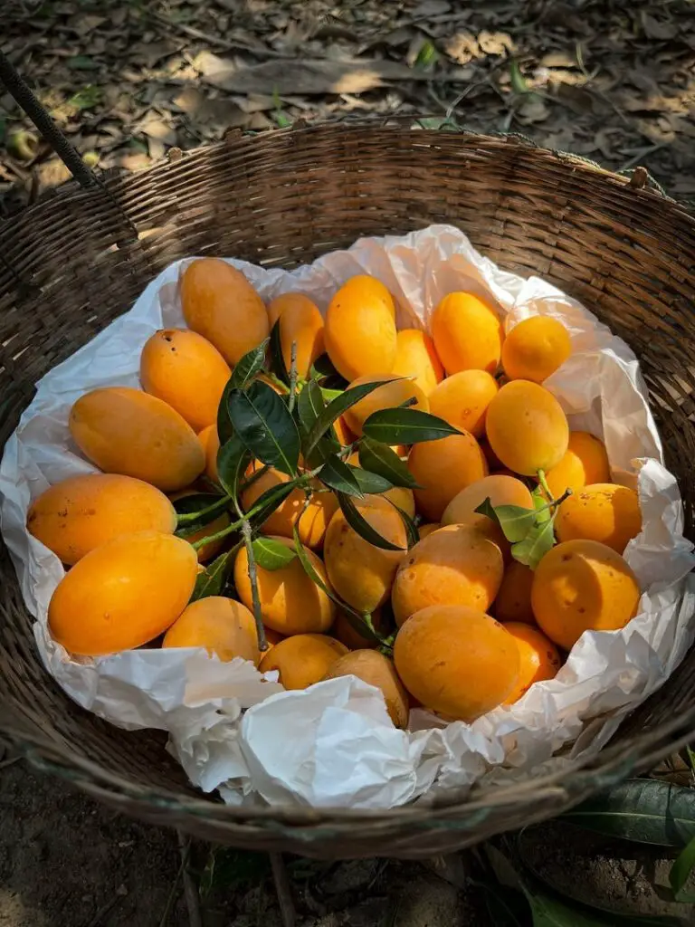 skin glowing fruits - Mangoes