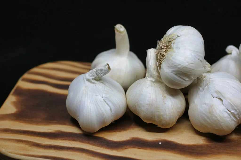 Garlic