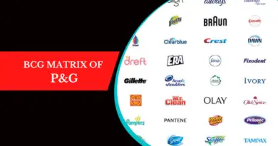 BCG Matrix of P&G