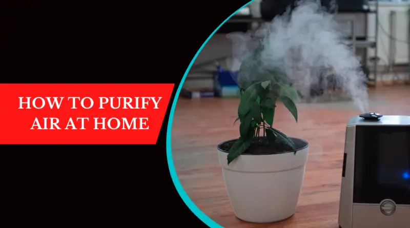 How to Purify Air at Home